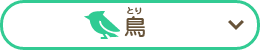 鳥
