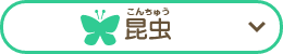 昆虫
