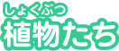 植物たち